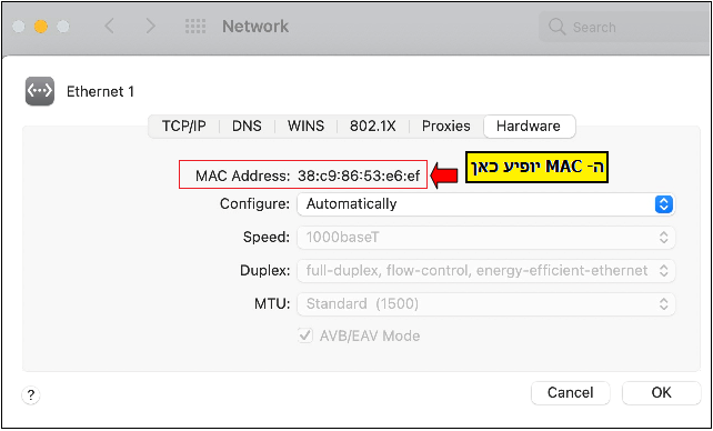 On Hardware tab you will find the MAC Address